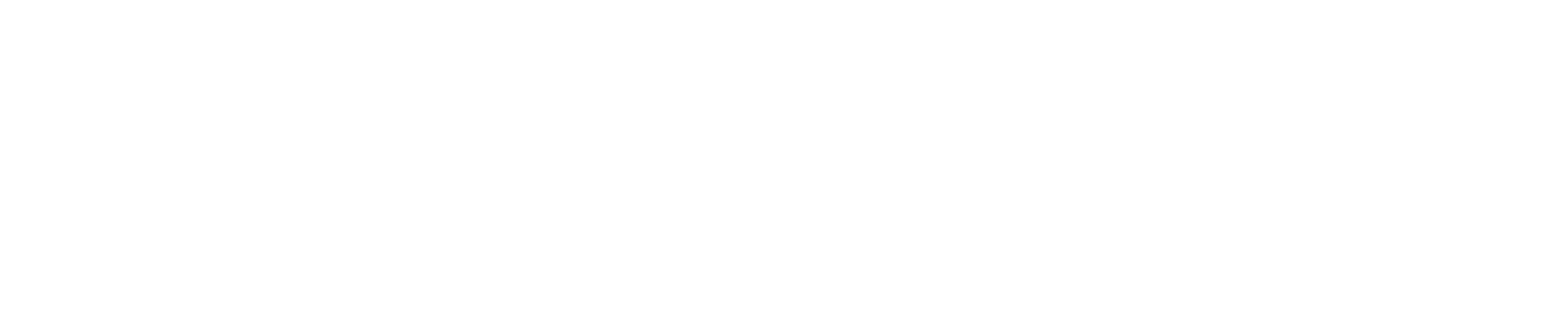 CDS Consulting SRL - logo negativo