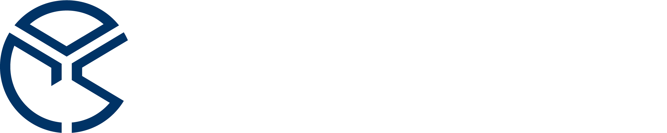 CDS Consulting SRL - logo in linea scroll